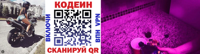 Купить где  Белово  Кодеиновый сироп Lean Purple Drank 