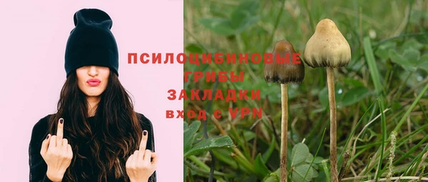 сатива Карталы