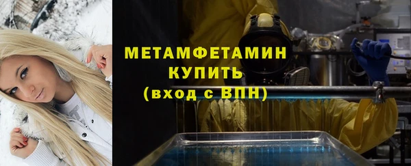 сатива Козловка