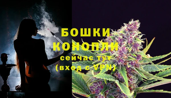 мдпв Касимов