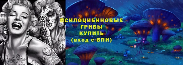 мдпв Касимов