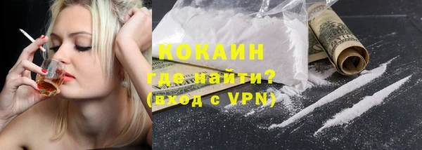 сатива Козловка